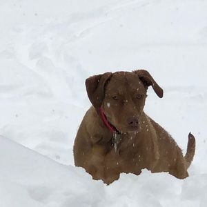 Meet your Posher, Gina